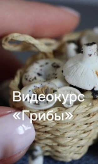 [Юлия Бухарова] Видеокурс Грибы (2023)_0.png